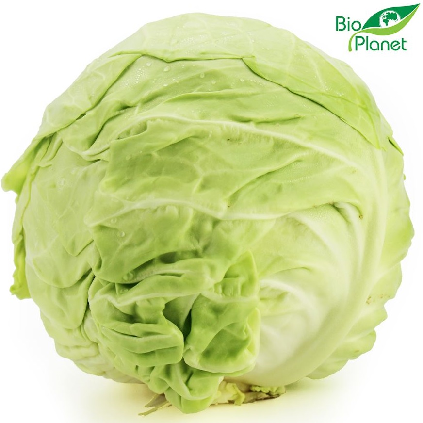 Kapusta młoda ekologiczna Bio Planet