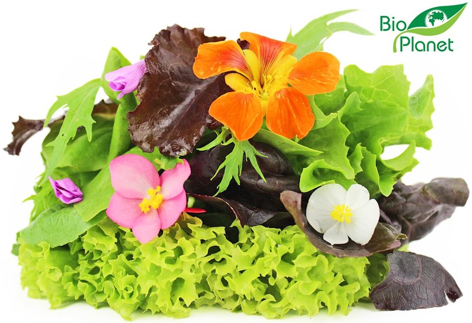 Mix de ensalada Bio Planet Bio