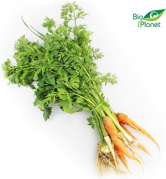 Органическая итальянская связка Bio Planet
