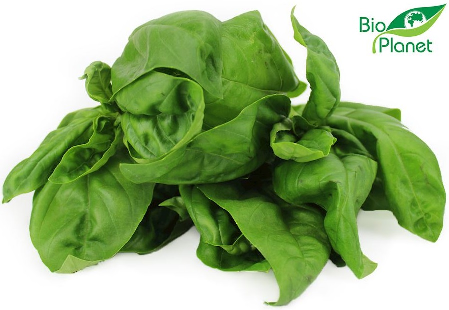 Bio Planet organic basil