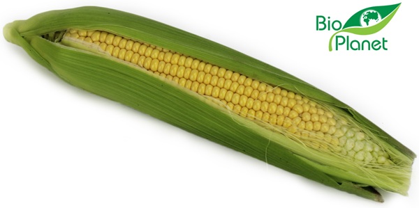 Organic corn Bio Planet