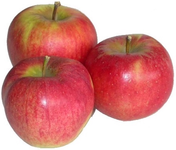 Elstar apples