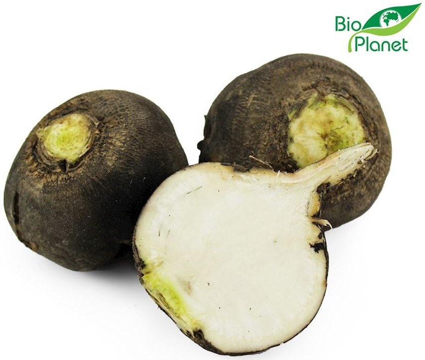 Organic black turnip Bio Planet