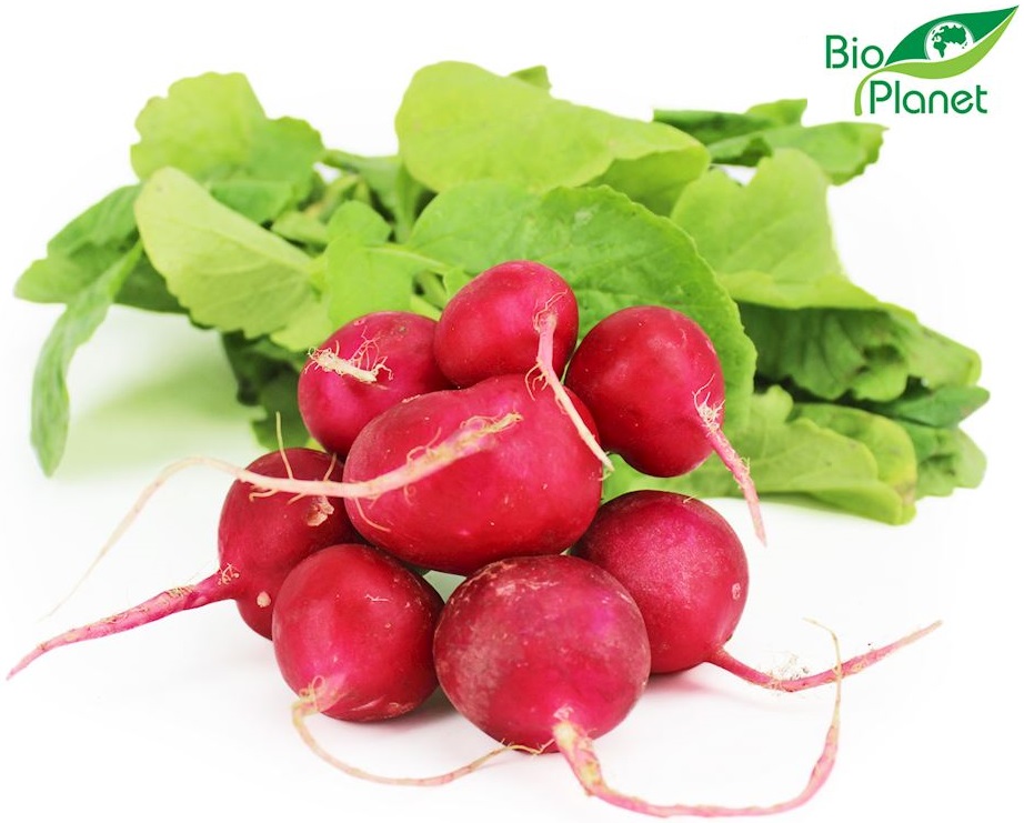 Organic radishes Bio Planet (Poland)