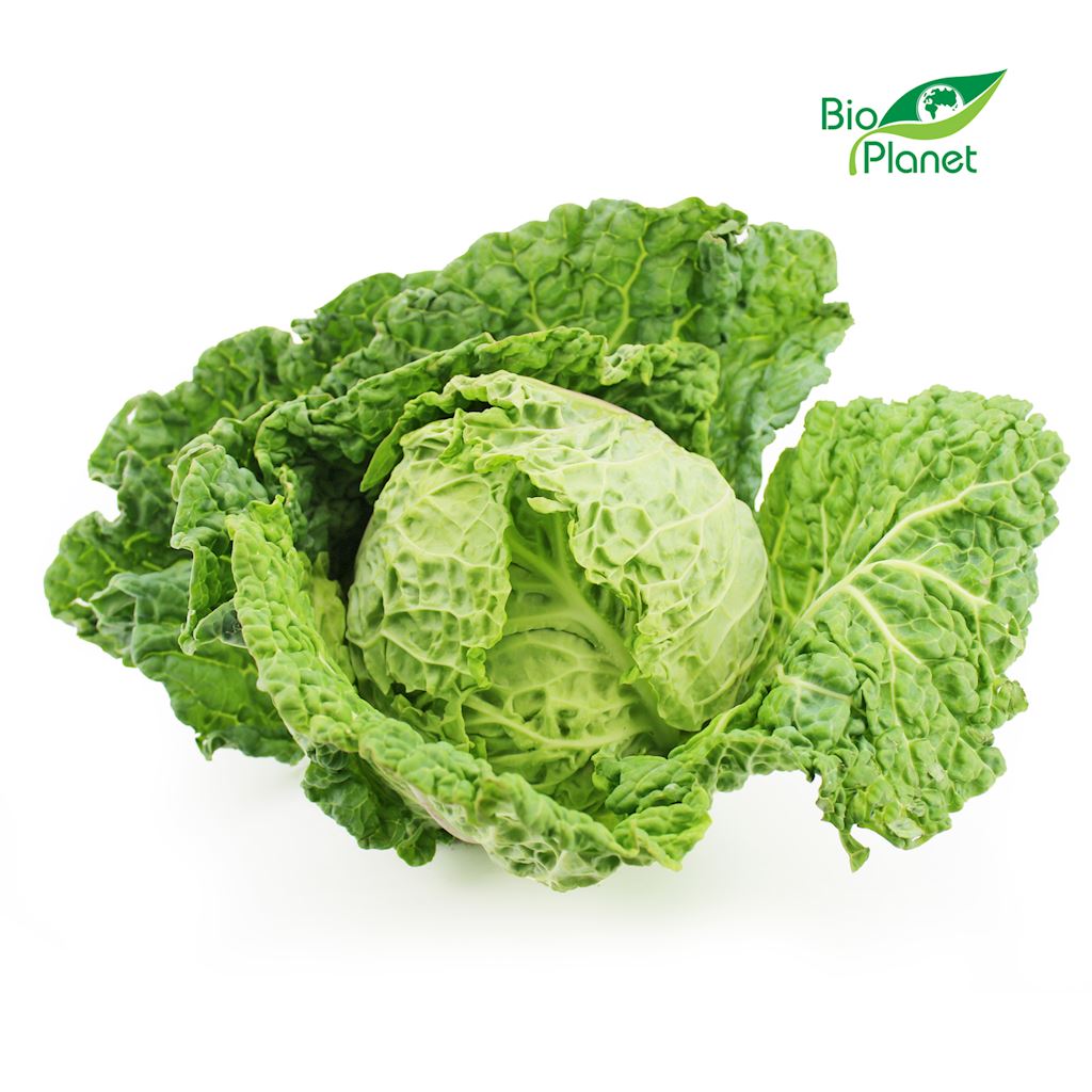 Organic savoy cabbage Bio Planet