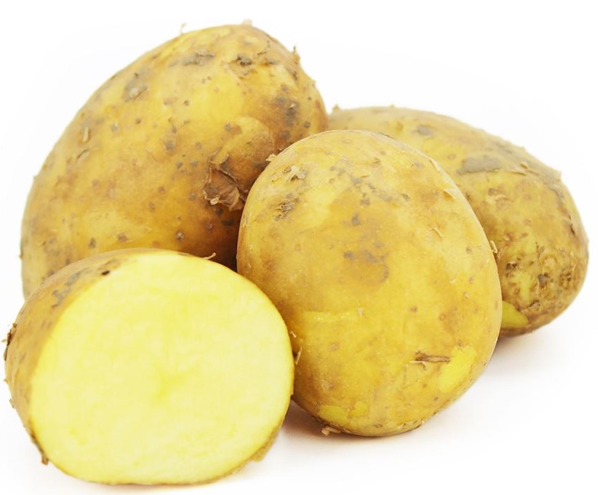 Fresh yellow potatoes BIO