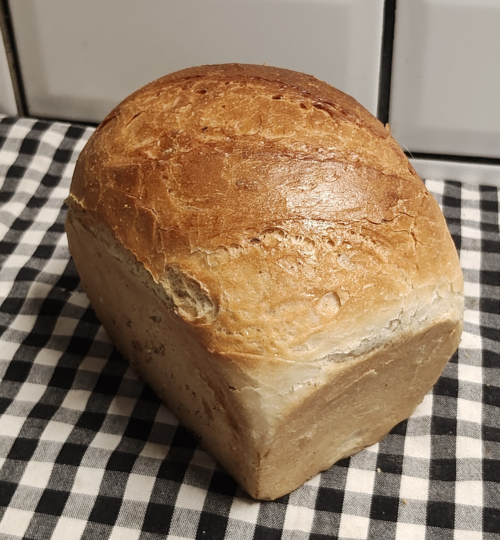 Oven Wheat bread