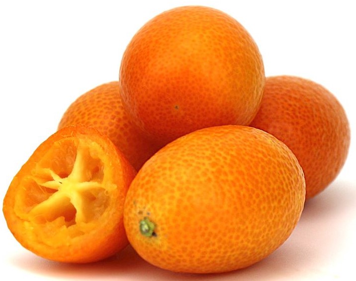 Frische Bio-Kumquat