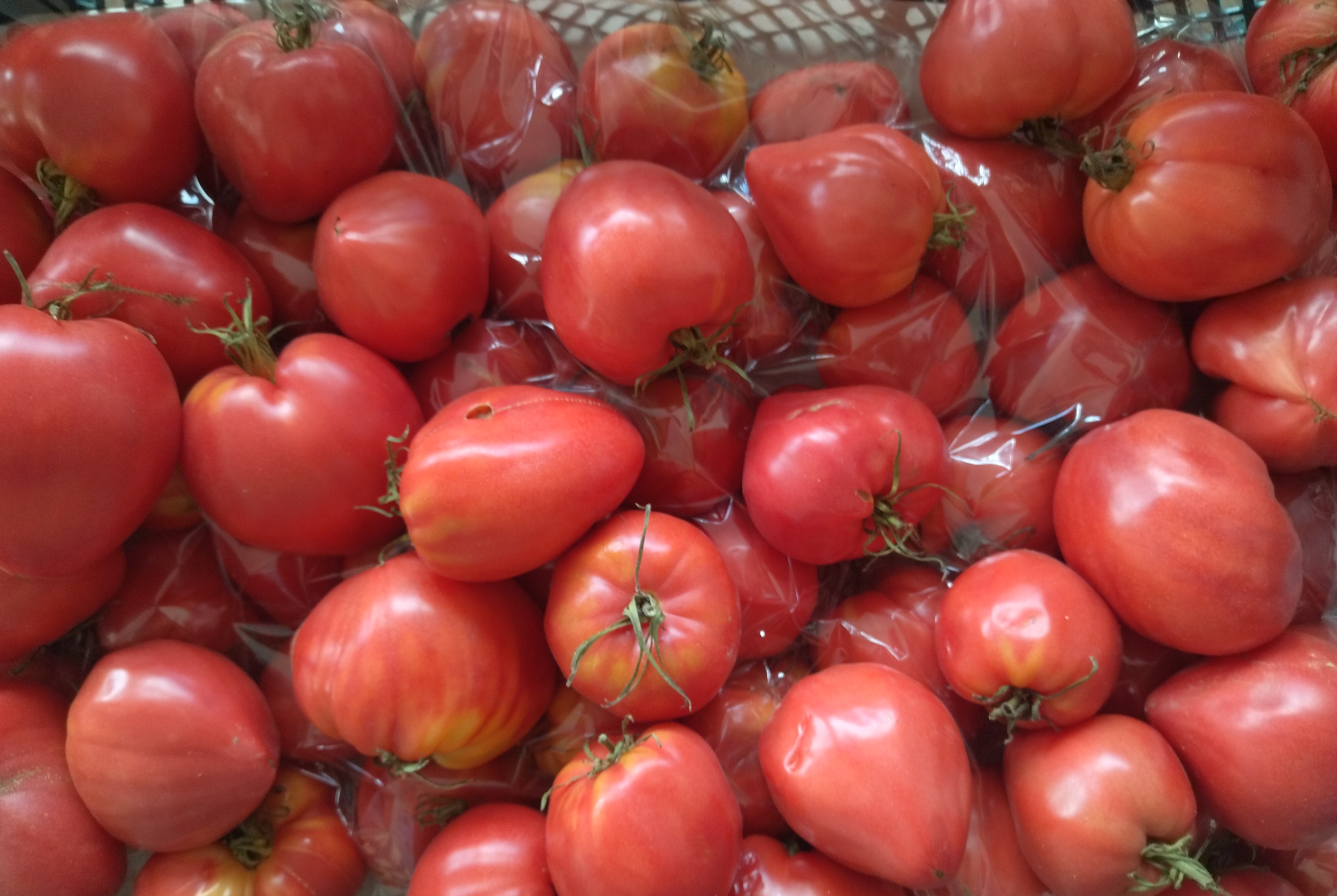 Tomate Corazón De Búfalo   