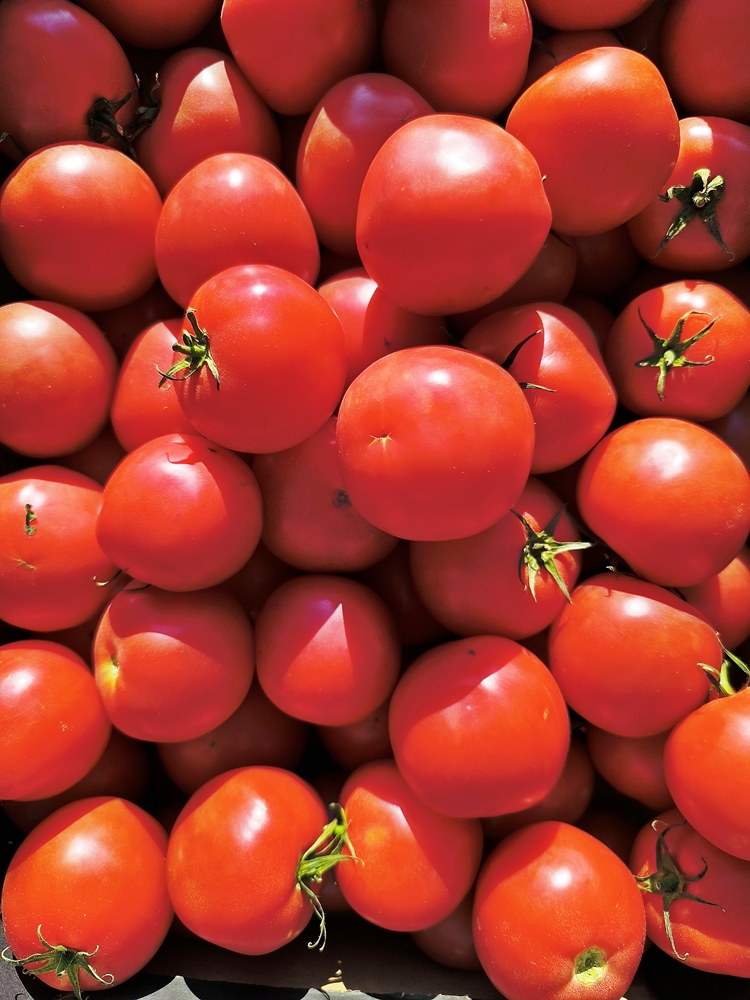 Small raspberry tomatoes  