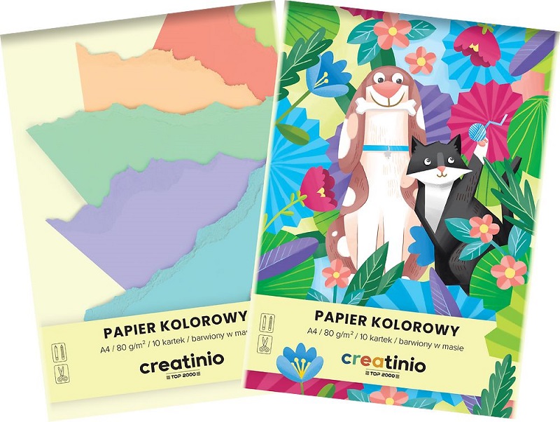 Top 2000  Papier kolorowy A4 Creatinio