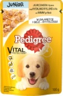 Pedigree Junior jedzenie