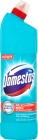 Domestos Atlantic Fresh płyn