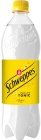 Schweppes Indian Tonic