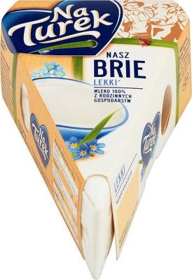 Figura brie queso de yogur