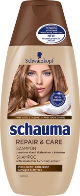 Schaum shampooing restauration et l'entretien