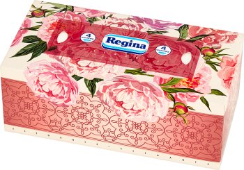 Regina Delicatis cosmétique lingettes 4 couches de 120 lingettes