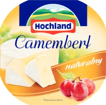 Camembert-Käse Natur