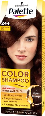 Schwarzkopf Palette szampon koloryzujący czekoladowy brąz nr 244