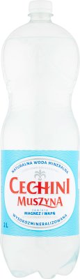Muszyna Cechini El agua mineral natural, CO2 Rico en wysokonasycona