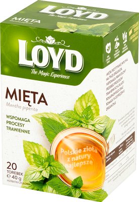 Loyd Herbal mint tea