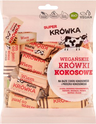 Super Fudge BIO glutenfreier Kokosfudge