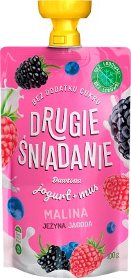 Dawtona Drugie Śniadanie mus owocowy z jogurtem malina jeżyna jagoda