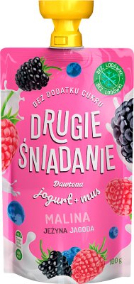 Almuerzo Dawtona: mousse de frutas con yogur, frambuesa, mora, arándano