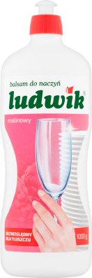 Ludwik raspberry washing-up liquid