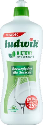 Ludwik mint dishwashing liquid