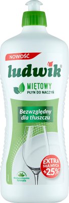 Detergente líquido ludwik mint