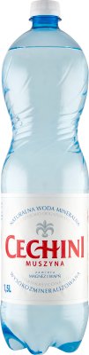 Cechini Muszyna Highly mineralized, low-saturated carbonated water