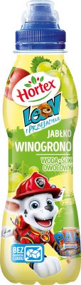 Hortex Leon Napój owocowy jabłko-winogrono