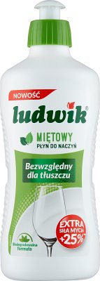 Ludwik Mint dishwashing liquid