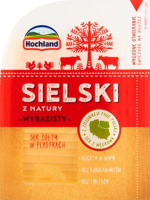 Hochland Sielski an expressive yellow cheese in slices by nature